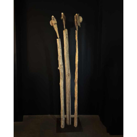 Jephan de Villiers - Anges de Mer, 3 mats