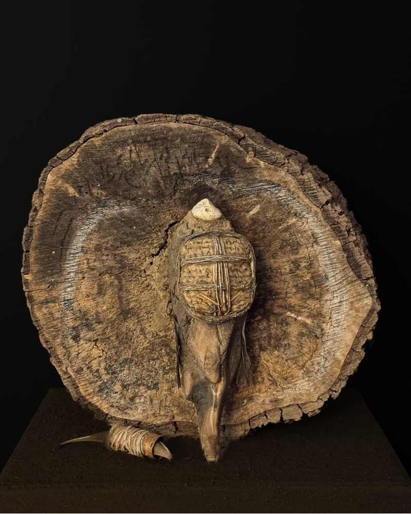 Jephan de Villiers – Resting place of the Earth Angel