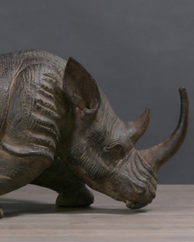Rhino de collection