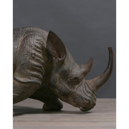 Rhino de collection