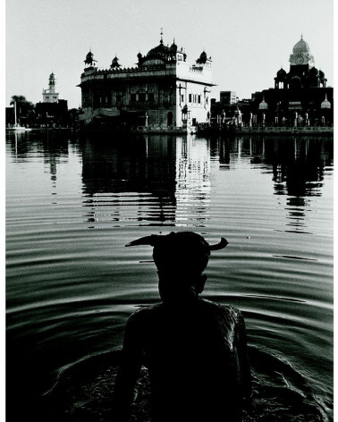 Denis Brihat - Temple d'or d'Amritsar