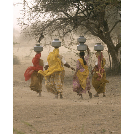 Hans Silvester - India, photo 03