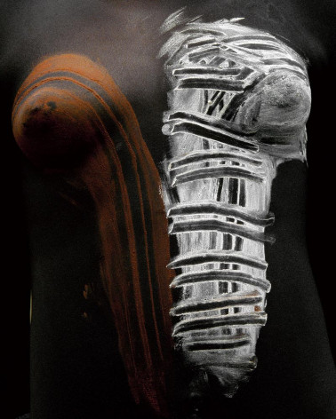 Hans Silvester - Body paintings, Photo 04