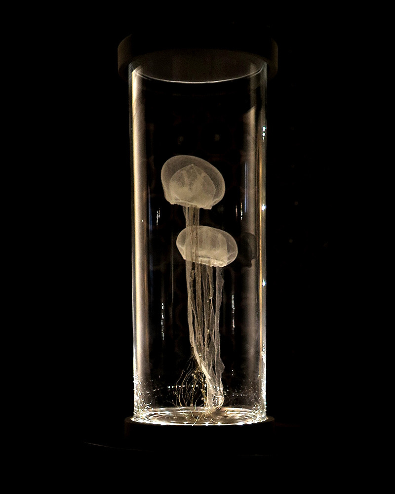 Lampe meduse