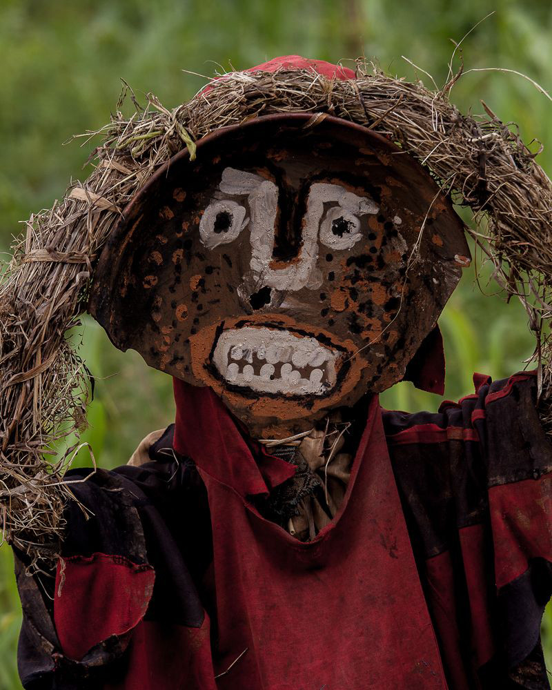 Hans Silvester - Scarecrows, Ethiopia 01