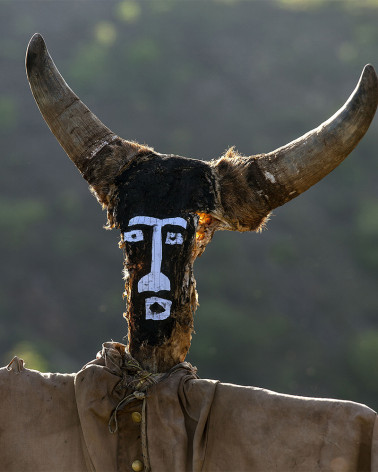 Hans Silvester - Scarecrows, Ethiopia 07