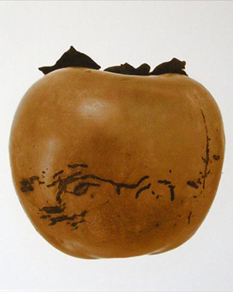 Denis Brihat - Photo Persimmon Denis Brihat - Photo Persimmon
