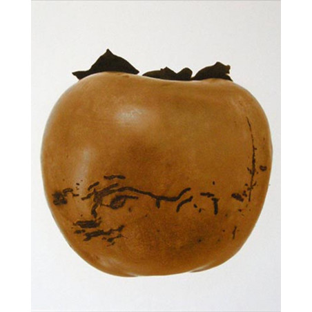 Denis Brihat - Photo Persimmon