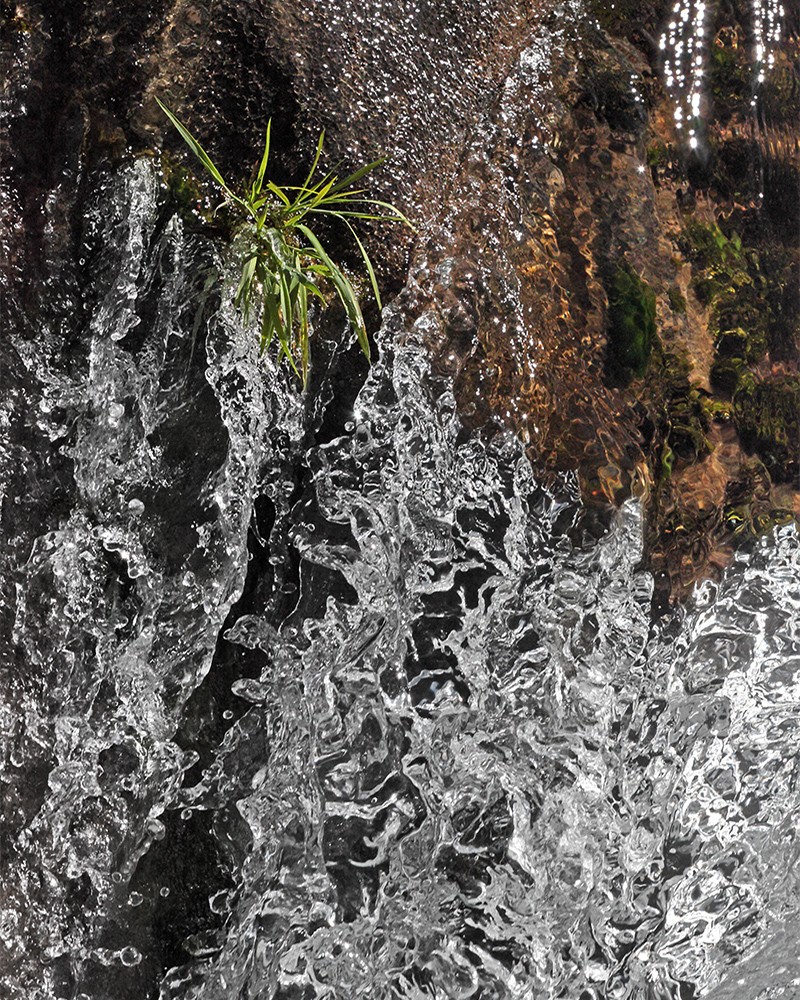 Remi Michel - La Sorgue, mouvements 1