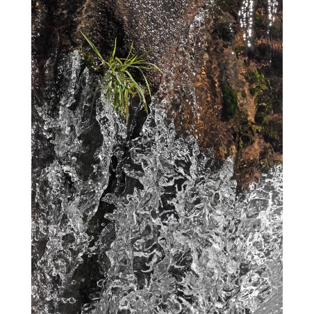 Remi Michel - La Sorgue, mouvements 1