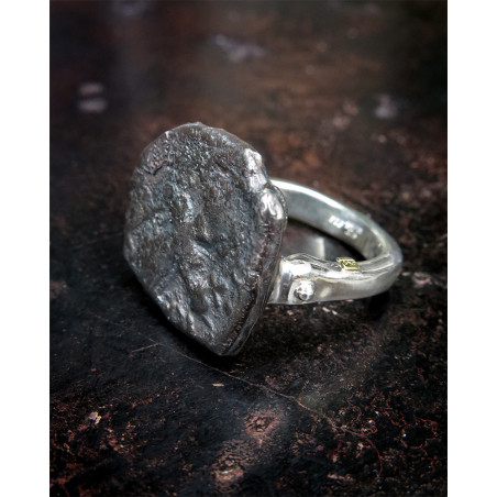 Rosa Maria - Hammered Silver ring