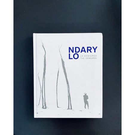 Ndary Lo - Le démiurge, livre