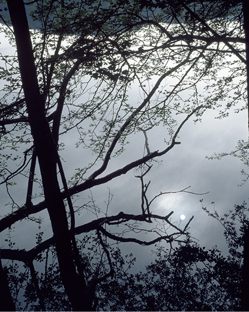 Hans Silvester - Photo Full moon Hans Silvester - Photo Full moon