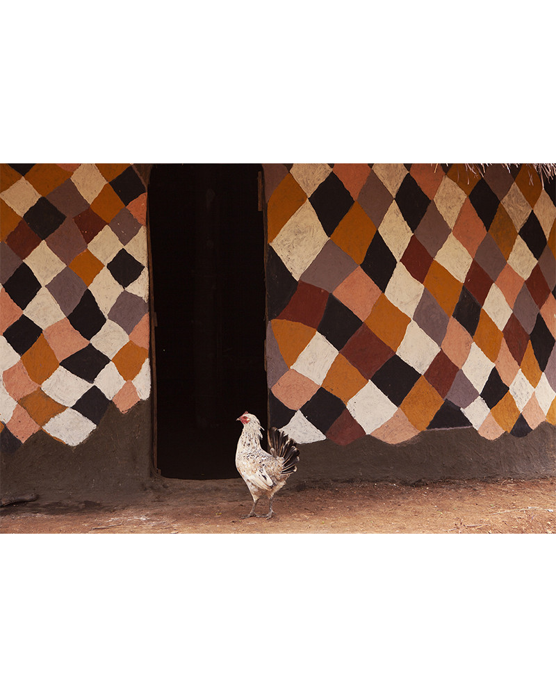 Hans Silvester - Bench, Photo 14
