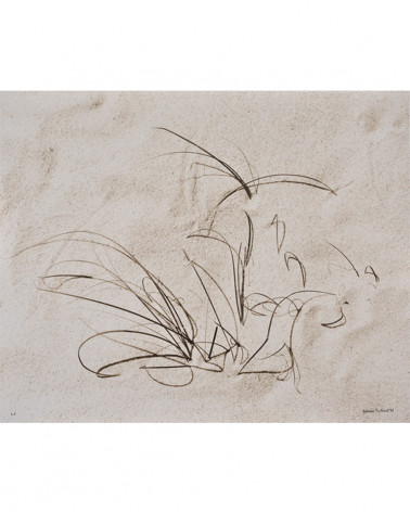 Denis Brihat - Herbes dans le sable