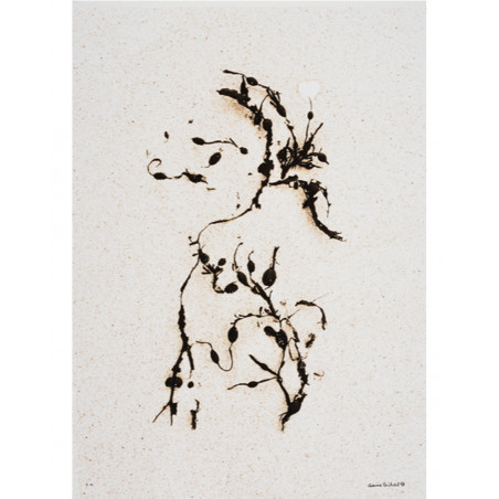 Denis Brihat - Kelp on the sand