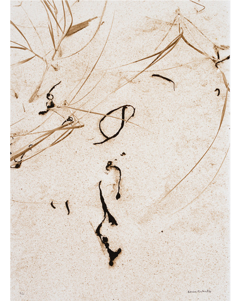 Denis Brihat - Herbes et algues sur le sable