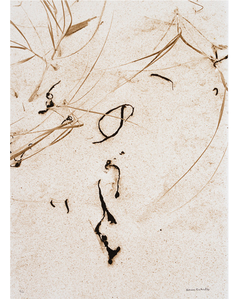 Denis Brihat - Herbs and algae on the sand