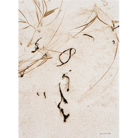 Denis Brihat - Herbes et algues sur le sable