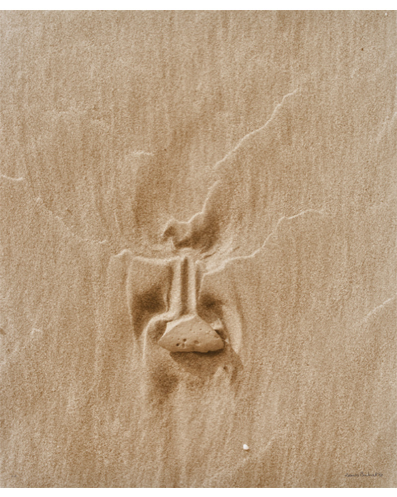 Denis Brihat - stone in the sand