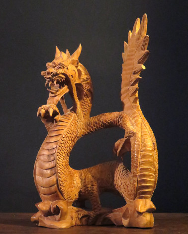 Indonesian Dragon