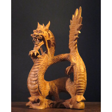 Indonesian Dragon