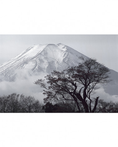 Hans Silvester - Japon, photographie 05