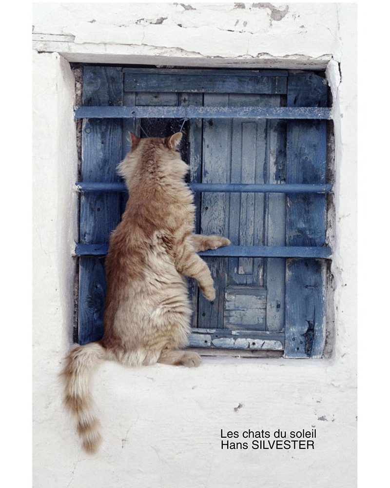 Hans Silvester - Cats in the sun, book Hans Silvester - Cats in the sun, book