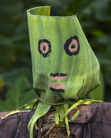 Hans Silvester - Scarecrows, Ethiopia 12