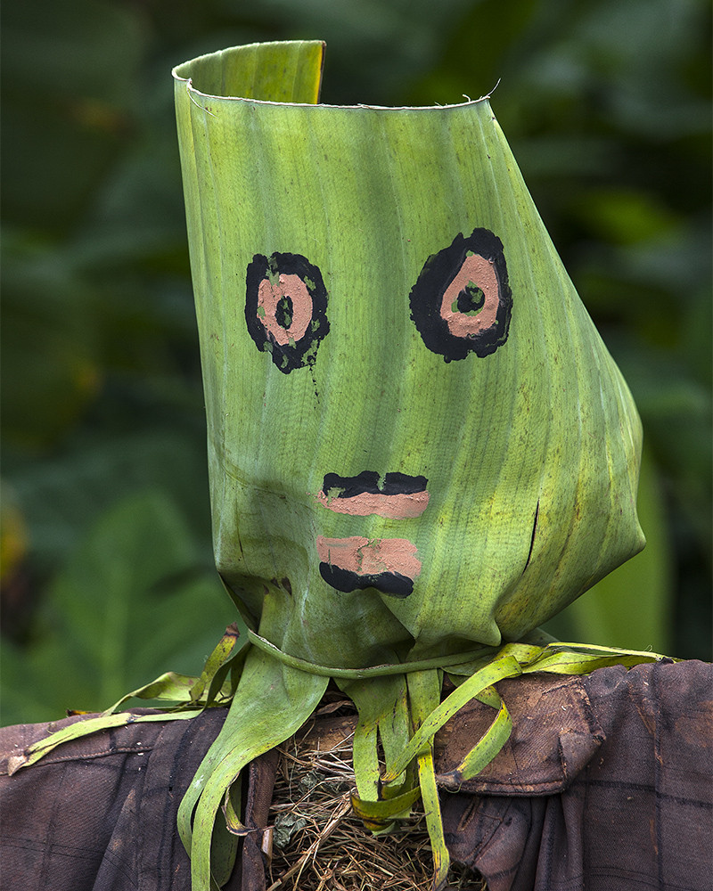 Hans Silvester - Scarecrows, Ethiopia 12 Hans Silvester - Scarecrows, Ethiopia 12