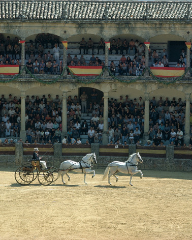 Hans Silvester - Andalousie, photographie 07