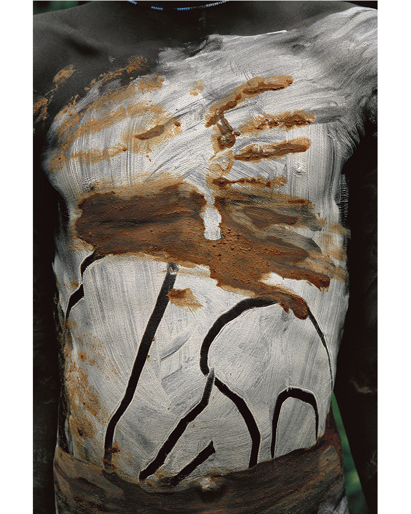 Hans Silvester - Rétrospective - Body Paintings 01