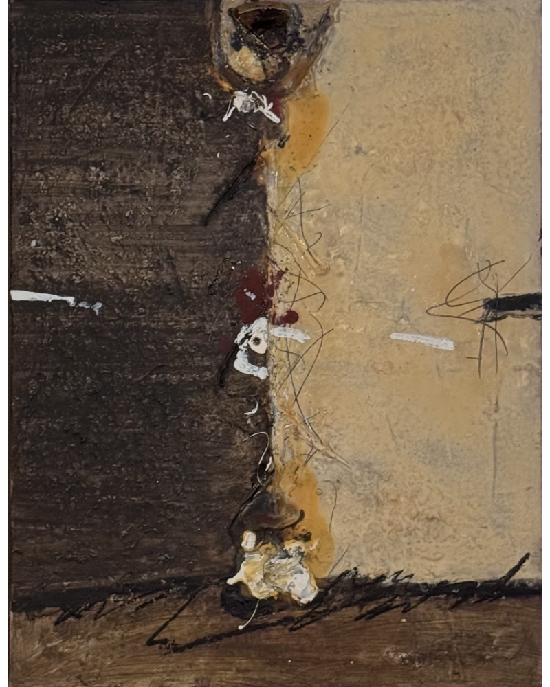 Dominique Coffignier - Earth, Shadows