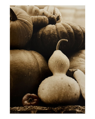 Denis Brihat - Photo Les légumes de Villandry