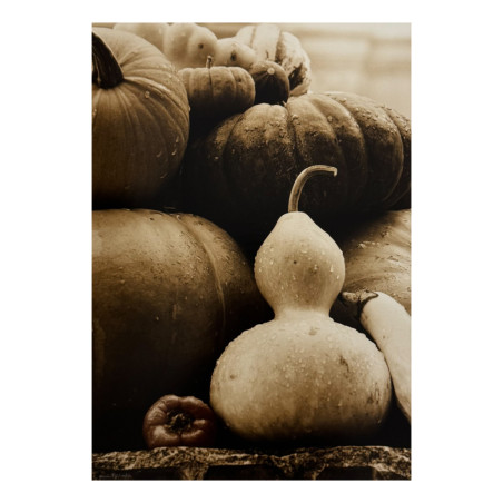 Denis Brihat - Photo Les légumes de Villandry