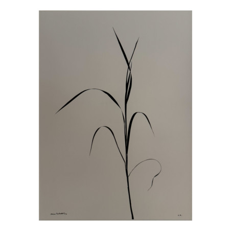 Denis Brihat - Photo grass