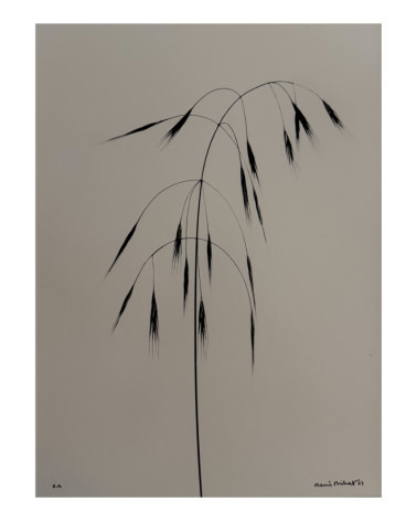Denis Brihat - Photo Wild oats