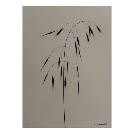 Denis Brihat - Photo Wild oats