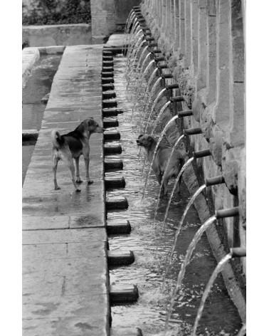 [Italie, Fontaine] - Hans Silvester, tirage argentique