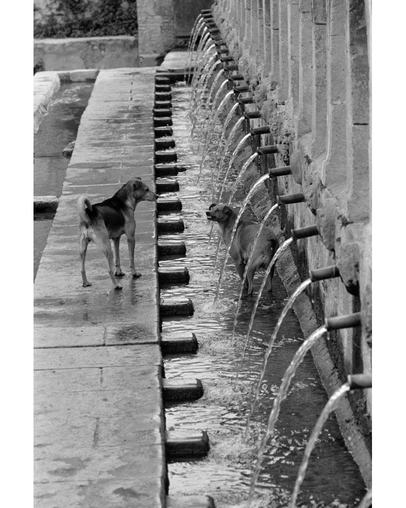 [Italie, Fontaine] - Hans Silvester, tirage argentique