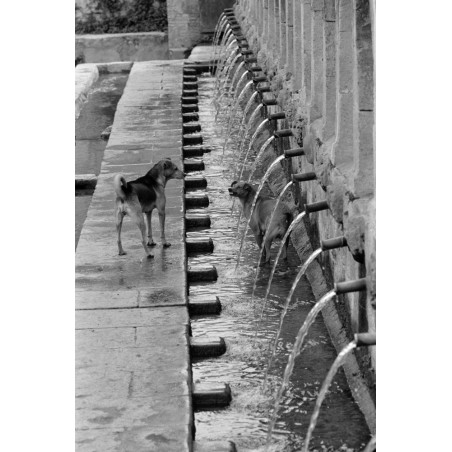 [Italie, Fontaine] - Hans Silvester, tirage argentique