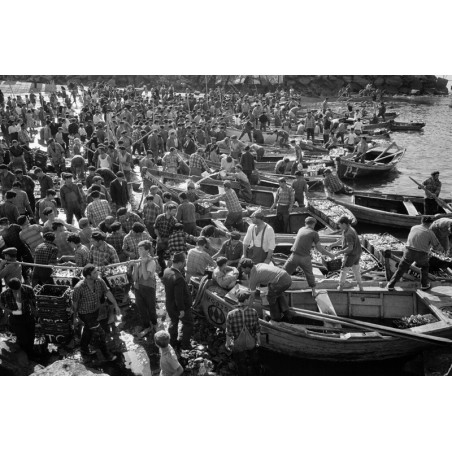 [Retour de pêche] - Hans Silvester, tirage argentique