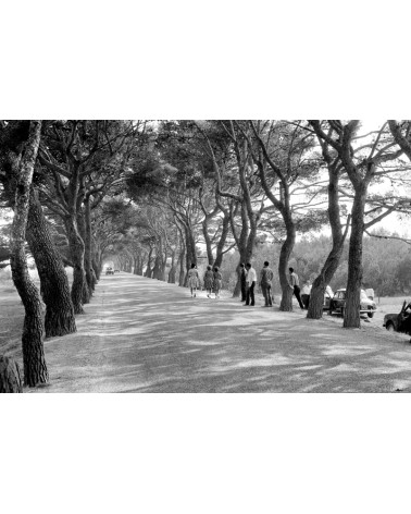 Hans Silvester - silver print - France - Route de Fos