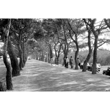 Hans Silvester -  photo argentique - noir et blanc - route de Fos - 1962