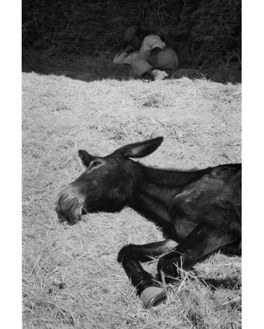 [Naps] - Hans Silvester, silver print