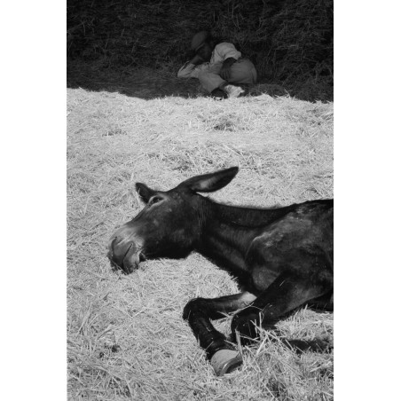 [Naps] - Hans Silvester, silver print