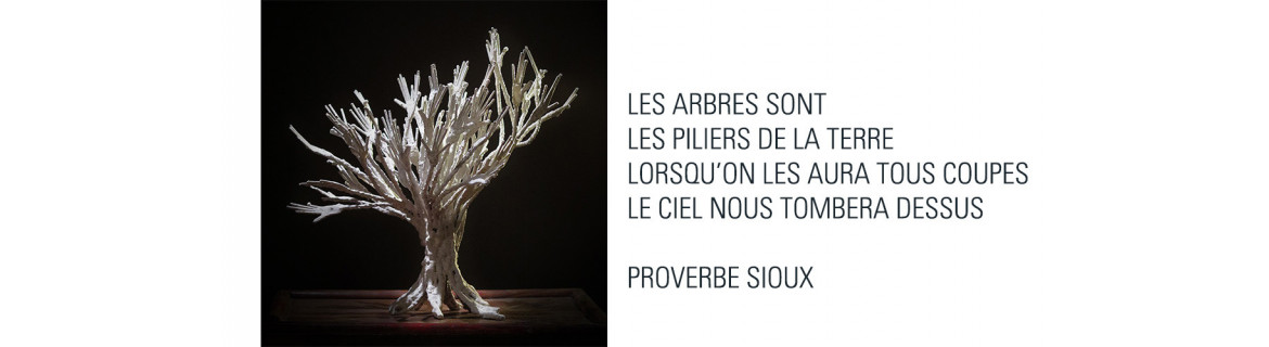 Un arbre comme une respiration, expo Hans Silvester, Denis Brihat